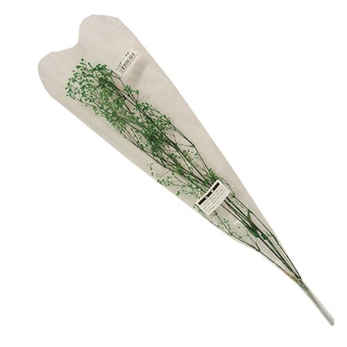 かすみ草 国産 グリーン 2個入