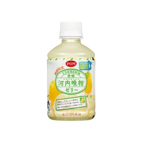 柑橘愛媛河内晩柑ゼリーペット280mlx24