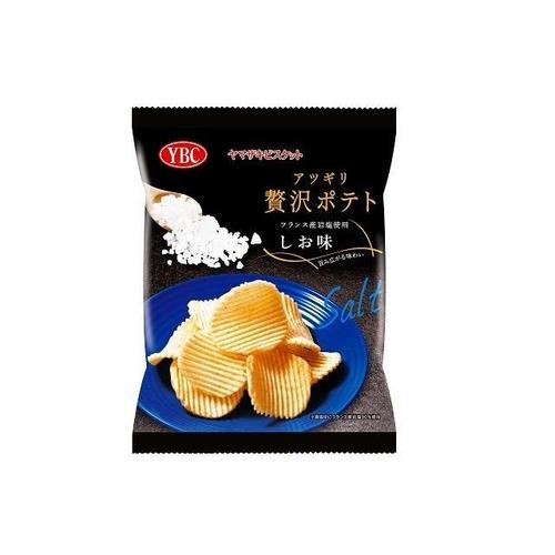 アツギリ贅沢ポテトフランス産岩塩しお55gx12