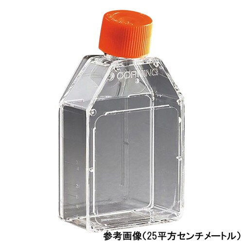 細胞培養用フラスコ(プラグシールキャップ