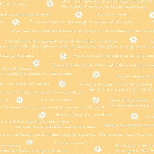 ロール包装紙 フラワーレターO 半才2P 5本入