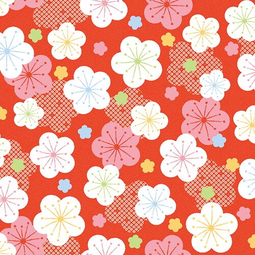 ロール包装紙 祝い梅 半才2P 5本入