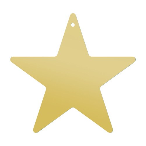 七夕飾り 星型短冊 穴アキ 金 5冊入