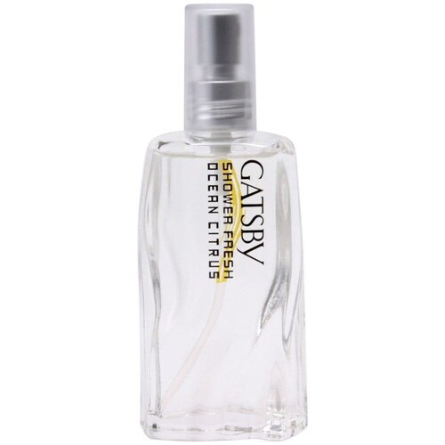 GBシャワーフレッシュ オーシャンシトラス×36個