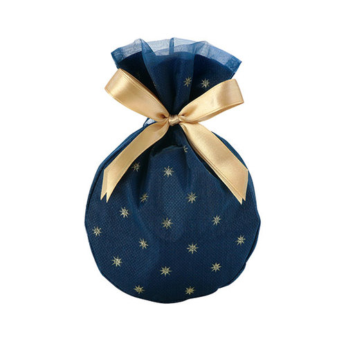 巾着袋ラウンドステラブルーSサイズ5セット