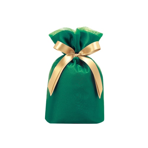 巾着バッグオーガンジーグリーンSサイズ5セット