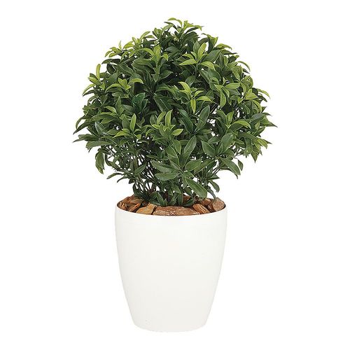 ZSTC401 SGベイリーフ 0.7m