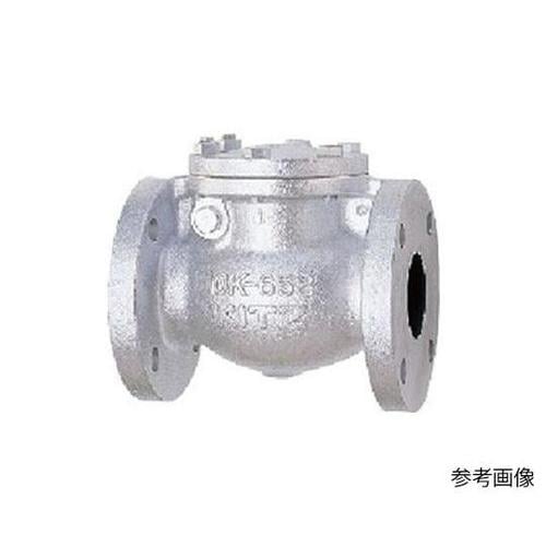 10FCOU 100A チャッキバルブ