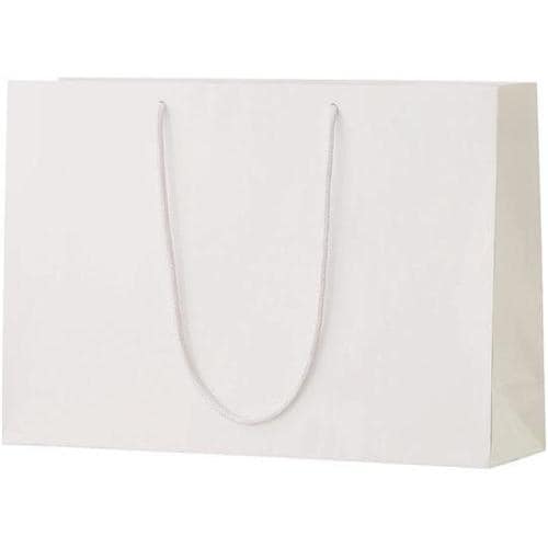 シャイニーバッグ L−W ホワイト 50