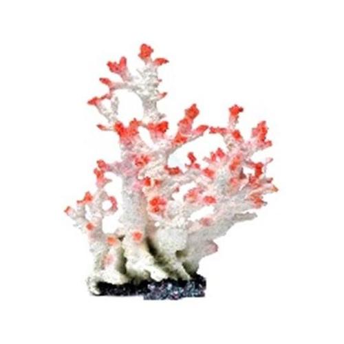 ZEST レプリカサンゴ ホワイトピンク
