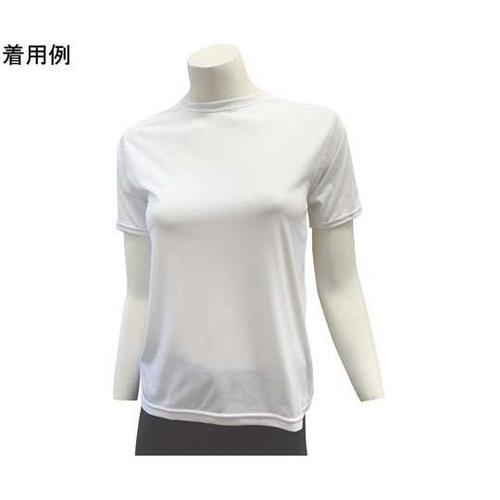 ベーシックTシャツ レディース 半袖 ホ