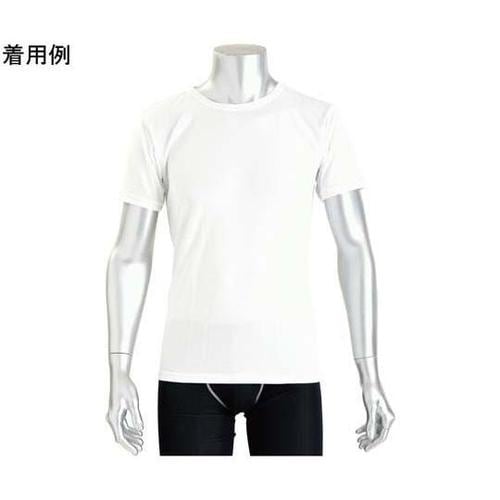 ベーシックTシャツ メンズ 半袖 ホワイ