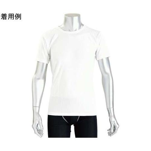 ベーシックTシャツ メンズ 半袖 ホワイ