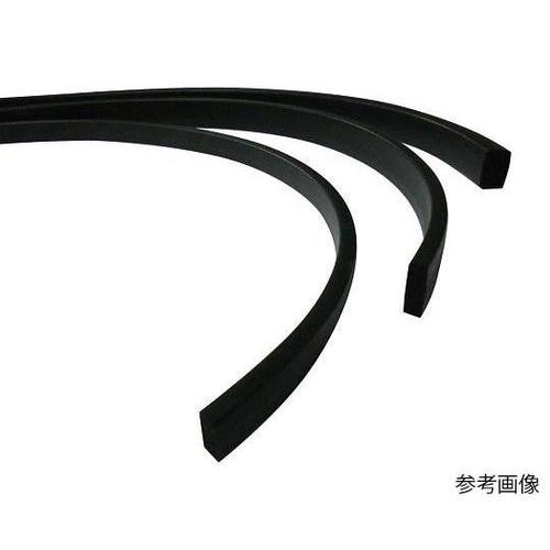 フッ素ゴムスポンジ紐 角 10×15mm