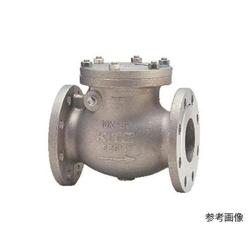 10UOAMT 100A チャッキバルブ