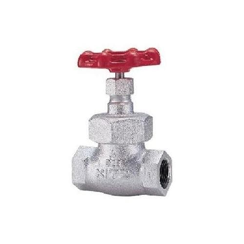 16SP 25A 鉄製グローブバルブ