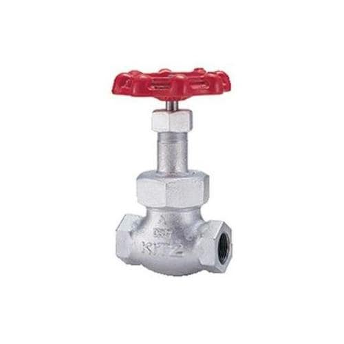 20SY 40A 鉄製グローブバルブ