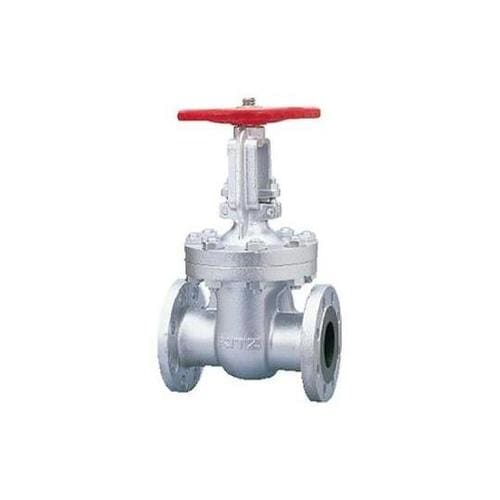 (F)20SLBO 80A ゲートバルブ