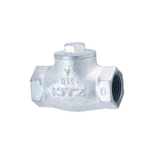 10SF 50A鉄製リフトチャッキバルブ