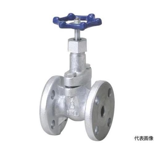 M10KFS15A ゲートバルブ10K