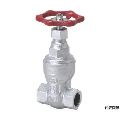 HM10KSS32A ゲートバルブ汎用