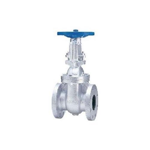 10FCLS 40A ゲートバルブ