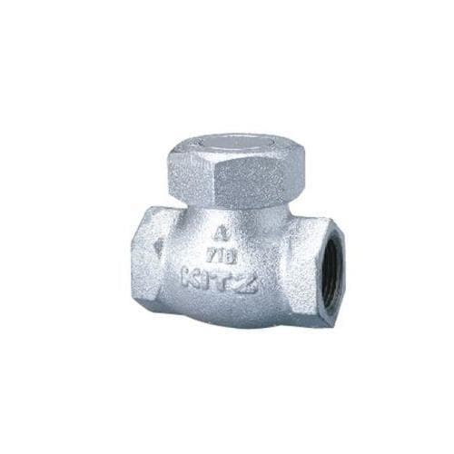 10SN FCDリフトチャッキ弁_50A