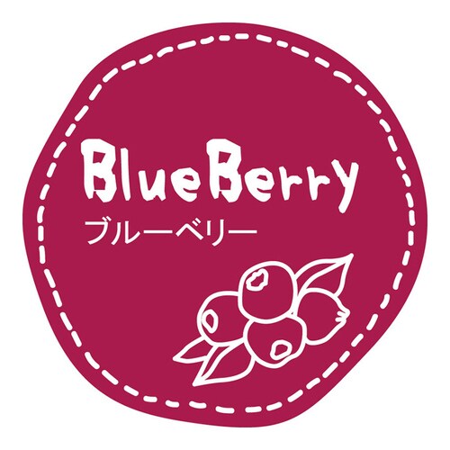 テイスティシールブルーベリーΦ28100枚50