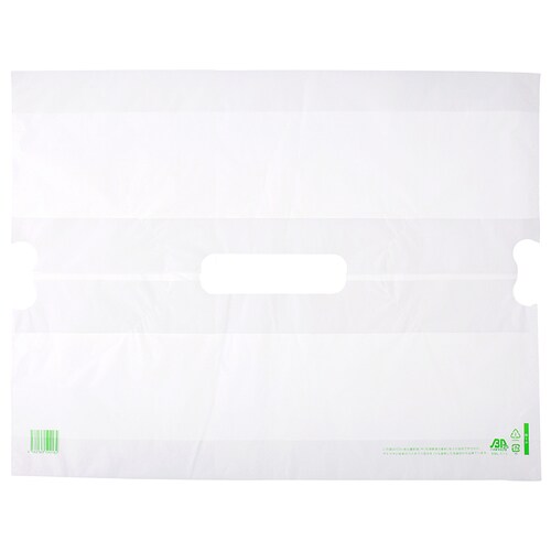 バイオバンバンB−6 10セット