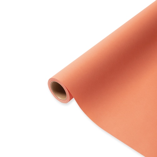 336720 パリ10 65×15 20本