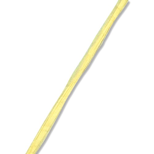 ペーパーラフィア5×50#05イエロー10