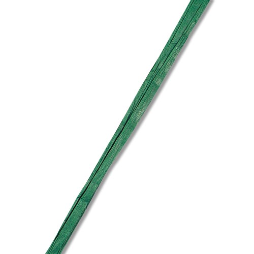 ペーパーラフィア5×50#10グリーン10