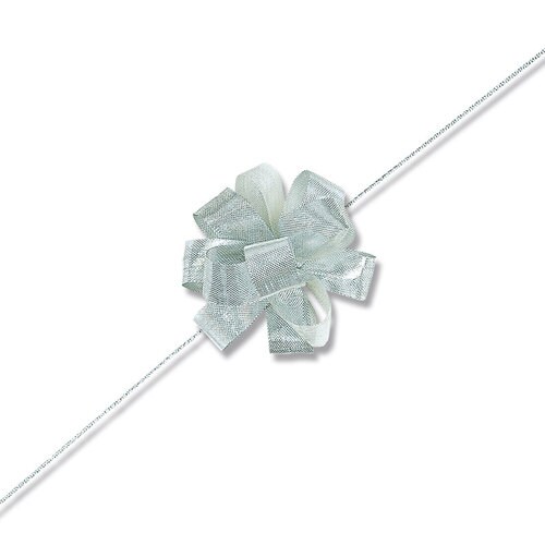 ワンタッチメタルリボン12×20シルバー20