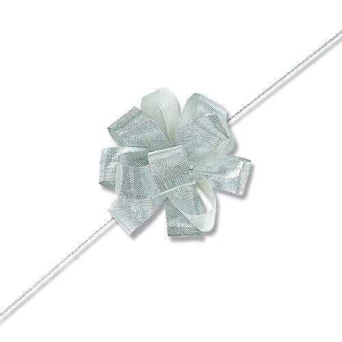 ワンタッチメタルリボン18×20シルバー14