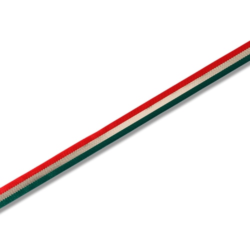 ホーリートリオ 12X30M 10巻