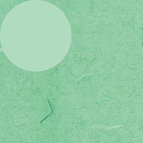 包装紙 全判 ふうび 緑 100枚入×5