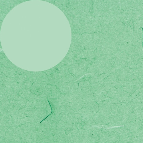 包装紙 半才 ふうび 緑 100枚入×10