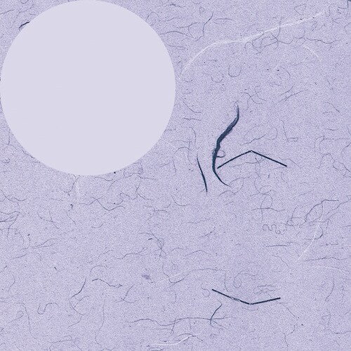 包装紙 半才 ふうび 紫 100枚入×10