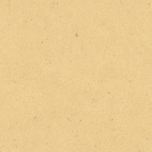 包装紙 全判 ナチュラル 100枚入×5