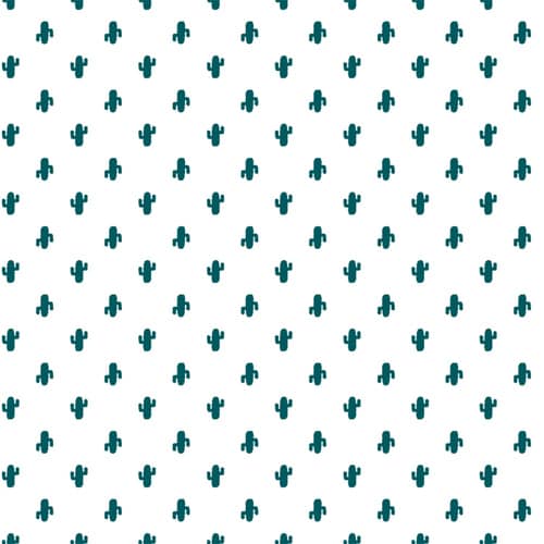 包装紙 半才 アミーゴ×10