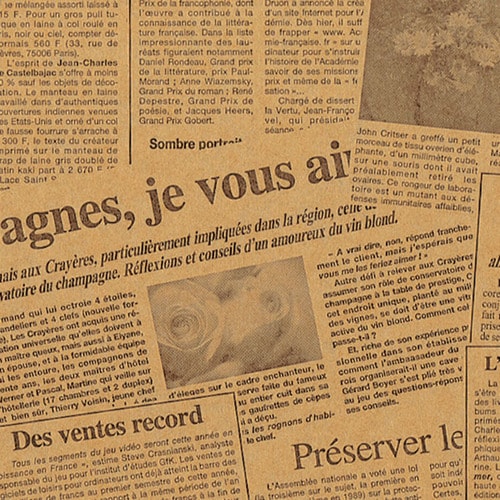 包装紙半才未晒レターフラワー焦茶100枚入10