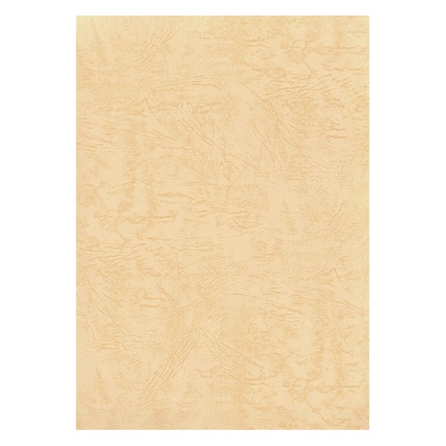 カットペーパーレザック66A4コソメ10セット