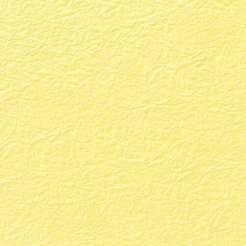 和紙鳥の子エンボスNO.5ウスキ5枚入×40