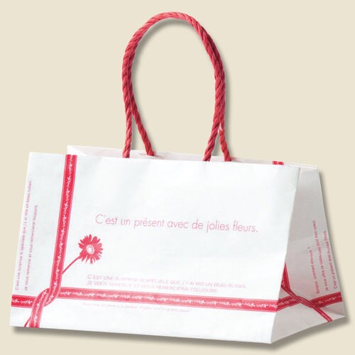 Pスムースバッグ 25−15 ルバン 12セット