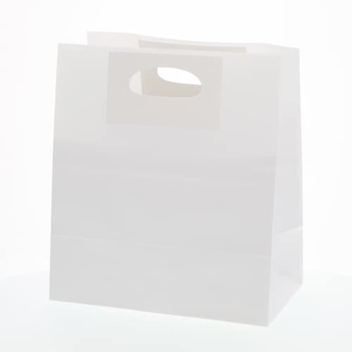 トゥーゴーバッグ L 晒白無地 20セット