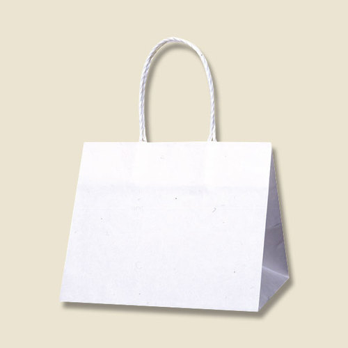 Pスムースバッグ 25−19 白無地 12セット