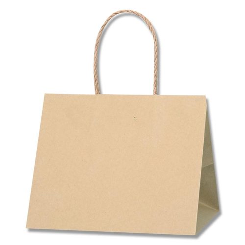 Pスムースバッグ 25−19 未晒無地 12セット