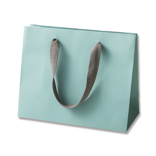 カラーハンドルバッグLWアクアグリーン40セット