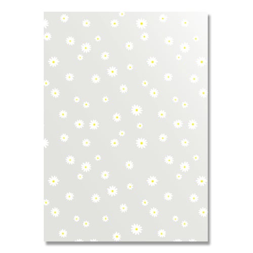 クリスタルパック M−1 ラブリー 10セット