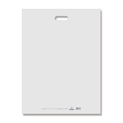 LDカラーポリ45−60ナチュラル表記入10セット